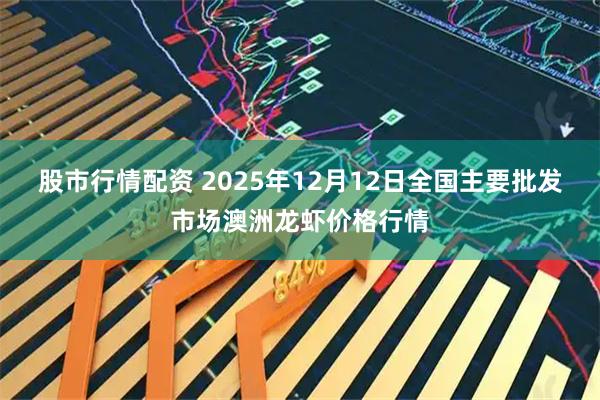 股市行情配资 2025年12月12日全国主要批发市场澳洲龙虾价格行情